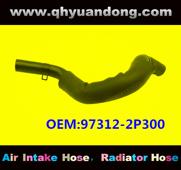 RADIATOR HOSE OEM:97312-2P300