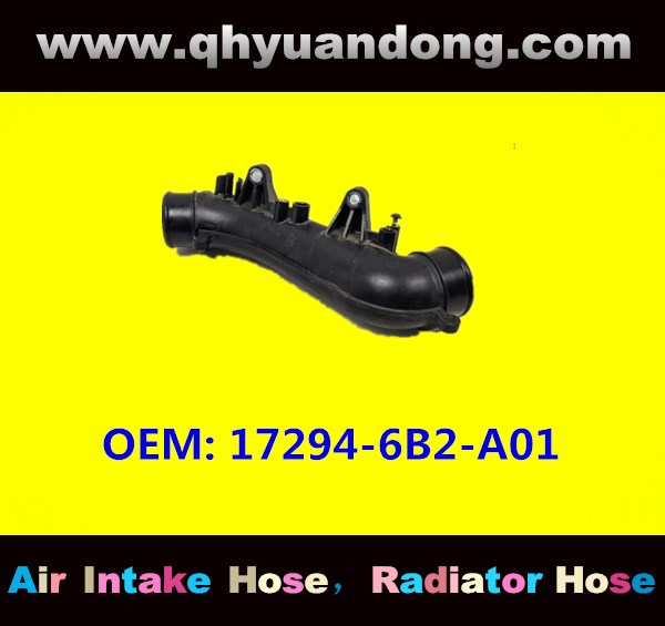 AIR INTAKE HOSE  17294-6B2-A01