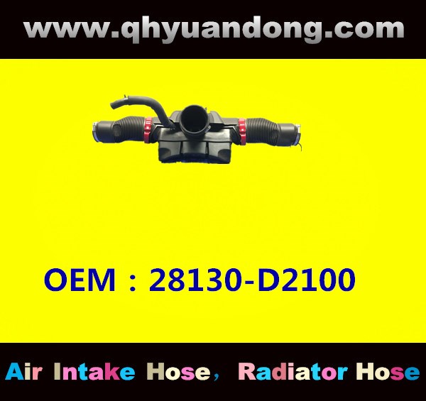 AIR INTAKE HOSE 28130-D2100