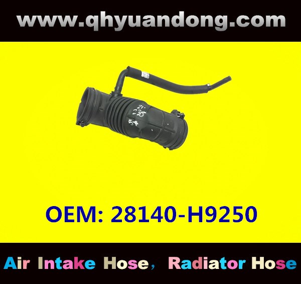 AIR INTAKE HOSE  28140-H9250