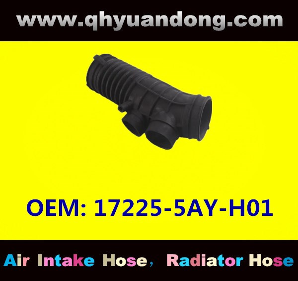 AIR INTAKE HOSE 17225-5AY-H01